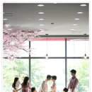 사진관가는날