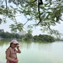 도경식당 | 베트남 하노이 1-1) 8월 여름휴가 하노이 비엣젯 출발 , 하노이 궁스파, 제니뷰티 후기