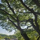 남한산성역사문화관 | 들어갔는데, 무료면서 퀄리티 실화?! 남한산성 숨은 이색데이트 코스 발견_남한산성 역사문화관 후기