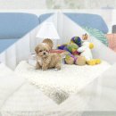 성남축산 | 성남동물보호센터 유기견 입양 후기! 강아지맡기는곳 선택 기준은?