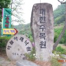 대구 팔공산 대한 수목원 연산홍과 철쭉-9. 이미지