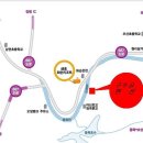 구수골펜션 이미지