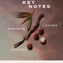 이터널 (Eternal) | 벨라 하디드의 향수 브랜드 Orebella 오르벨라 리뷰 후기✨/신상향 이터널 루즈 Eternal Roots