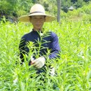 요한농원 이미지