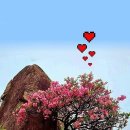 오다가다 이미지