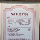 캣블레스유 이미지
