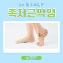 MEDI FLOWER 147 이미지