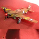 P-51 머스탱 (1/48 , 에이스) 이미지