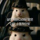 다인순대국밥 네이버블로그