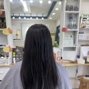 [내돈내산] 제주 애월 하귀 히피펌 성지여야하는 곳, 아카헤어갤러리