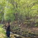 달성군보건소 | 대구 달성군 보건소 임산부 지원사업 설레임 숲태교 신청팁 참석후기