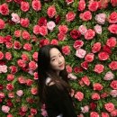 비아디 | 제주서귀포놀거리 고흐의정원, 뱀을 직접 만져볼 수 있다고?