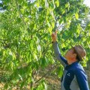 산전농장 이미지