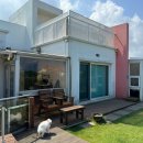 제주코기네 이미지