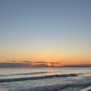 동해활어회센타 | 묵호 1박2일 코스 추천 🌊 묵호항활어회센터 내돈내산 후기 | 동해기정 예약방법