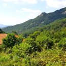 주원부동산중개 이미지