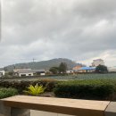 제주 애월 라꾸르 풀빌라 펜션 | [국내여행][제주] 애월 숙소, 라꾸르 풀빌라 펜션 숙박 후기 :D