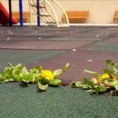 마실퀼트 이미지