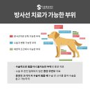 사하동물병원 이미지