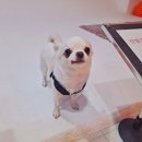 백곰메디칼 이미지