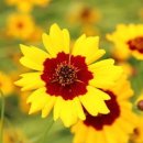 춘아농장 이미지