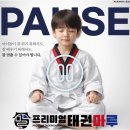프리미엄 태권마루 태권도장 | 자발적인 참여가 부르는 2026새솔동태권도 프리미엄의 힘!