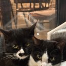 8월의 중화객잔 이미지