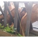 수한농장 이미지