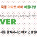 금성공인중개사사무소 이미지