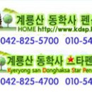계룡산동학사스타 네이버블로그