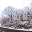 주공비디오 이미지