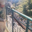 세광건설(주) | 부산캐노피설치 상가 입구 주택 현관 차양 비가림막 제작 시공