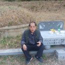 일등농약종묘도매상사 Daum카페