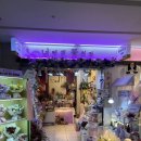 [07/26] 프리저브드 플라워 미니센터피스 - 원데이 클래스 | 강남역 꽃집 너에게꽃치다 강남역지점 지하상가 감성 꽃다발 하는곳