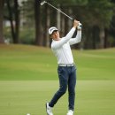 다운골프연습장 이미지