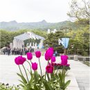 사일구 이미지