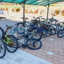 화정글샘도서관 이미지