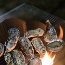 키즈포레스트 이미지