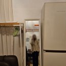 제주청년살이 이미지