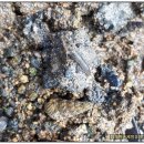 탑포어촌체험휴양마을 이미지