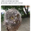 너뭐야 너이새끼뭐야 갑자기뭐야 이미지