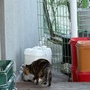 세븐일레븐 강릉성산점 이미지