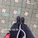 혜피니스케이크 | 혜피엔딩 혜피니스 혜피주말_2024 김혜윤 팬미팅 후기