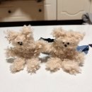 역삼-1216 | 23년 12월 일기