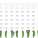 Top 스크린골프존 이미지