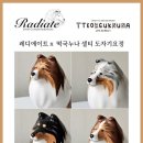 레디에이트(RADIATE) 이미지