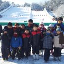 힘찬 효 태권도장 이미지