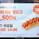 베이컨잉글리시 이미지