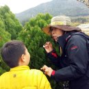 화양초등학교 이미지