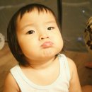 원조한양왕족발